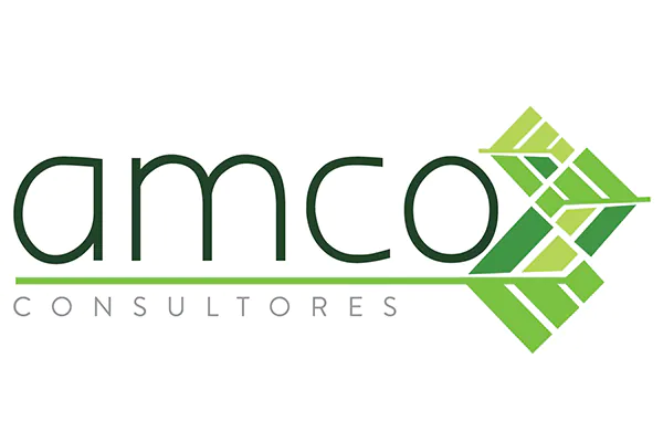AMCO CONSULTORES